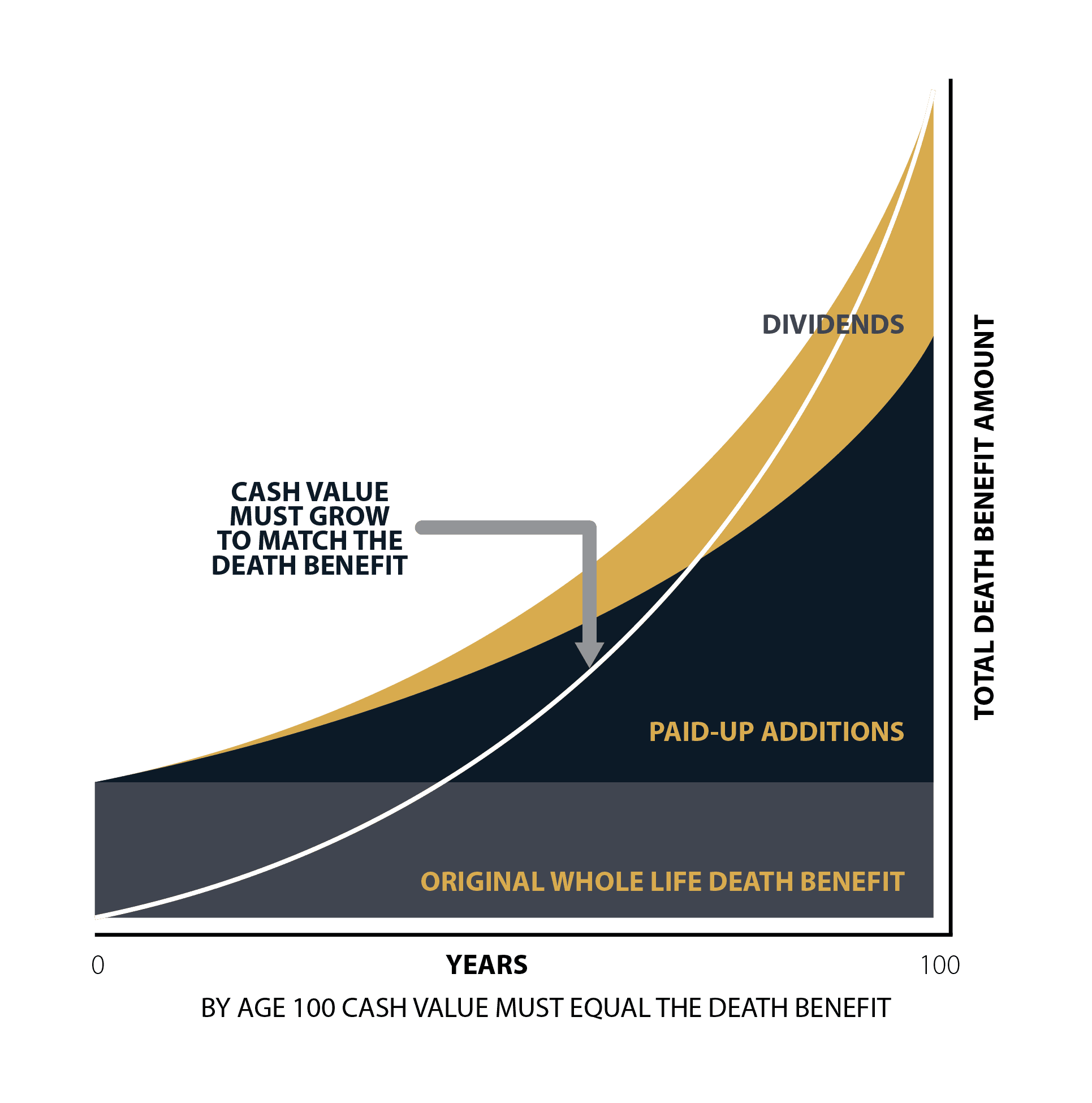 paid-up-additions-pua-life-insurance-policy-definition-rider